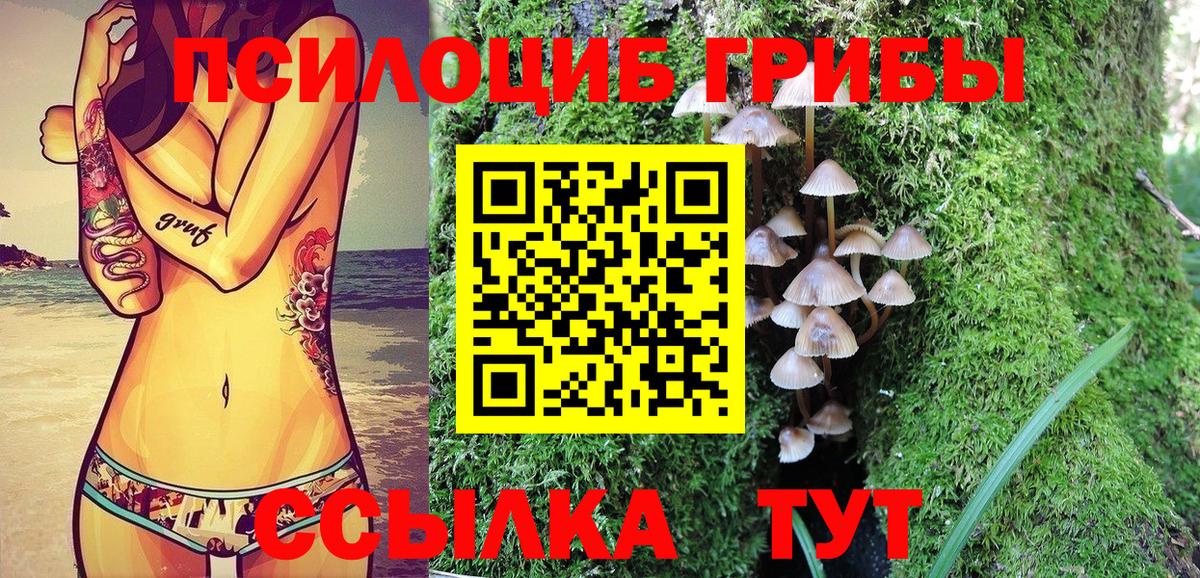Галлюциногенные грибы MAGIC MUSHROOMS  Вход с VPN  Рубцовск  Псилоцибиновые грибы прущие грибы 